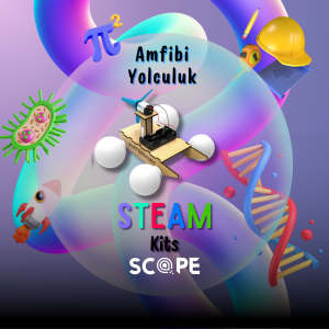 Amfibi Yolculuk