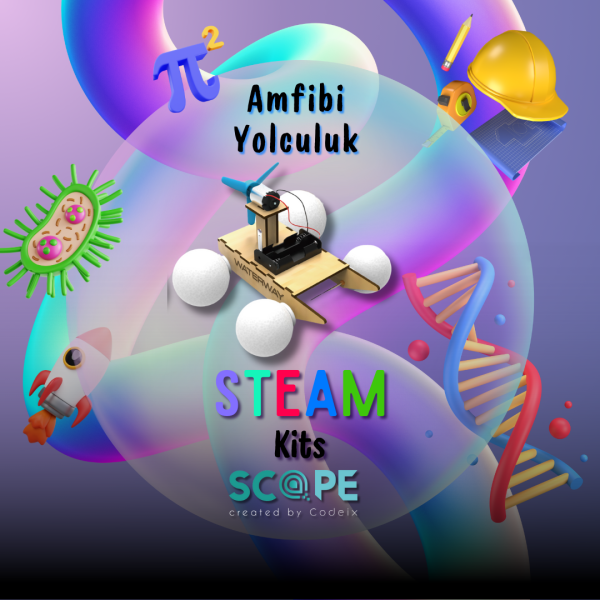 Amfibi Yolculuk
