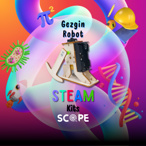 Gezgin Robot