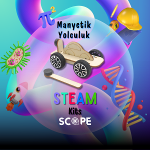 Manyetik Yolculuk